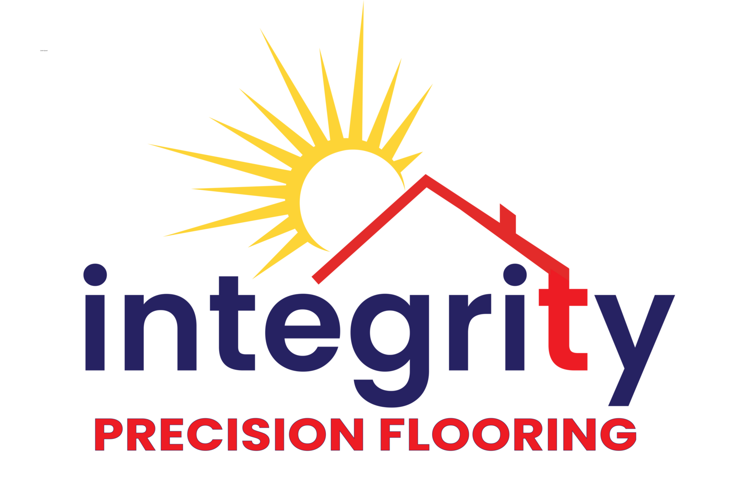INTEGRETY PRECISION LOGO (1)